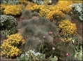 Im Garten