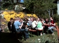 Abendessen im Garten