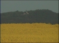 Blick auf den Burgwald