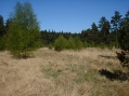 Franzosenwiesen im Burgwald
