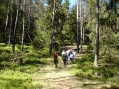Anstrengende Waldtour